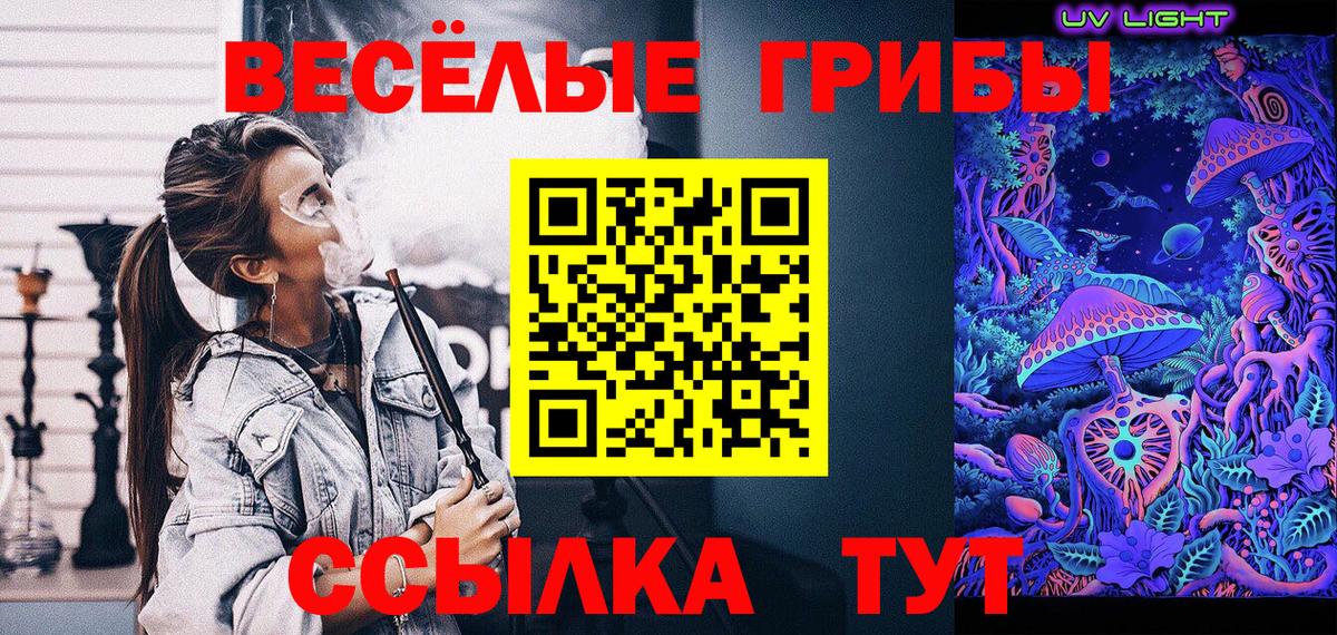 Галлюциногенные грибы ЛСД Каменск-Шахтинский