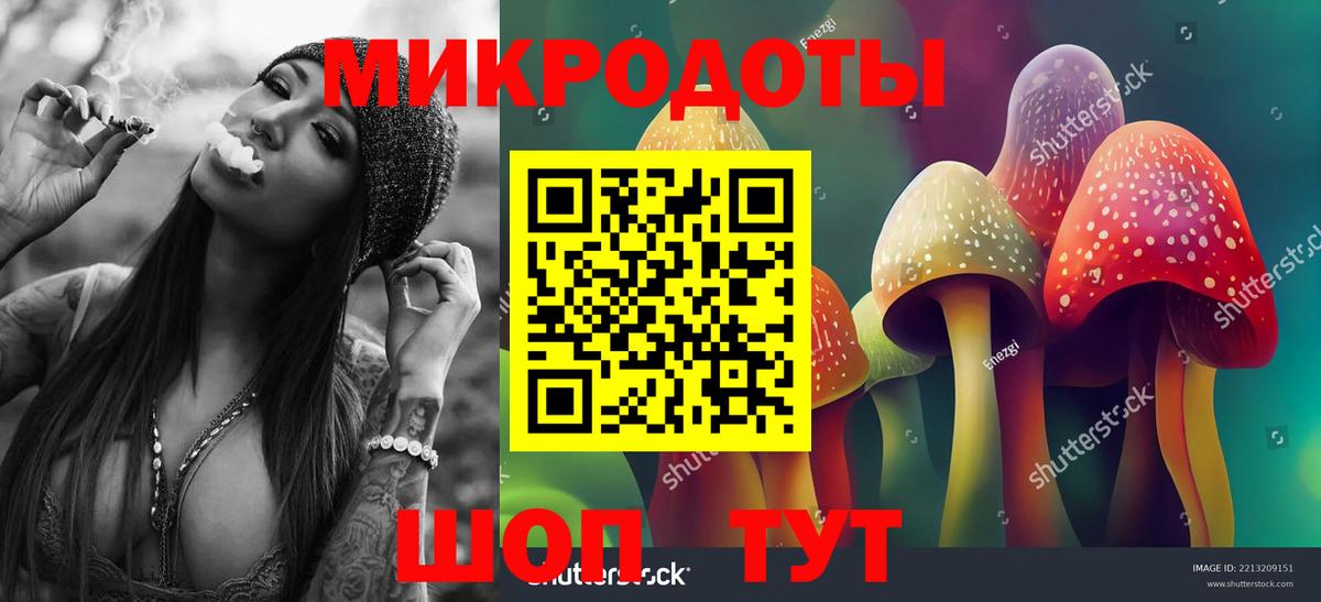 Каменск-Шахтинский  Галлюциногенные грибы Psilocybine cubensis  Вход с VPN 